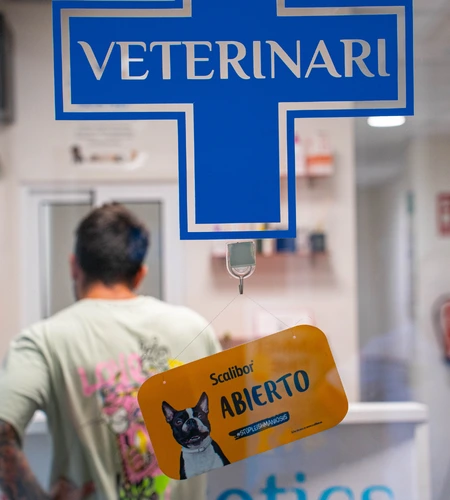 Veterinaria