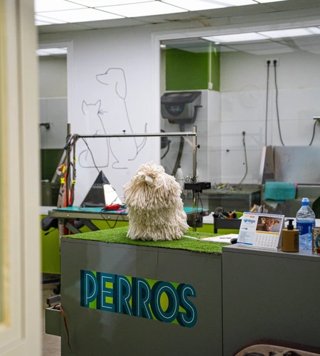 peluqueria